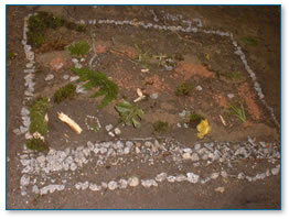 Map of the river using natural materials 