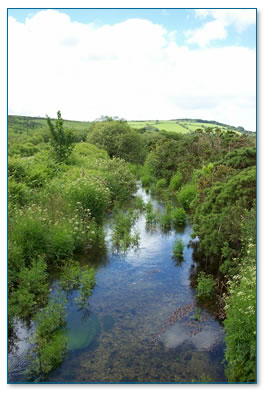 Draynes Valley looking downstream from bridge