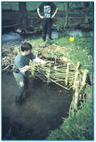 Revetment work in progress