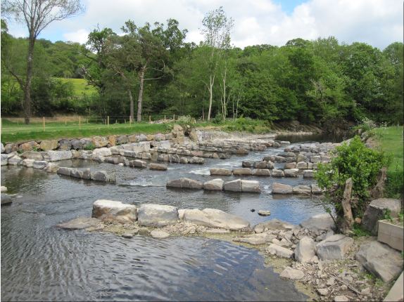 Launch of Head Wier Natural Fish Pass
