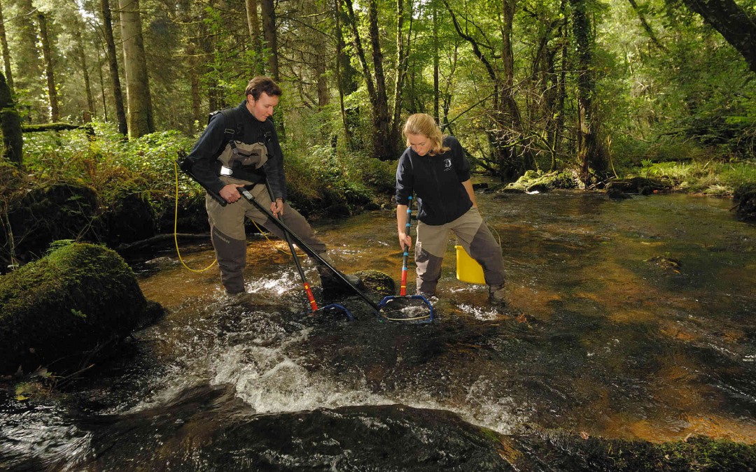 Catchment Restoration Fund
