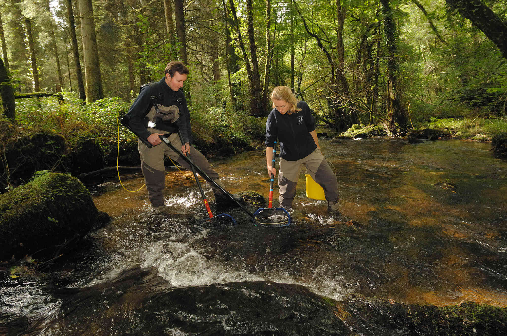 Catchment Restoration Fund