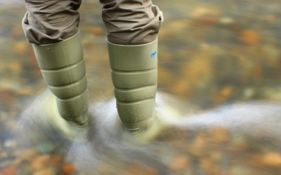 River Improvements show great economic and environmental returns