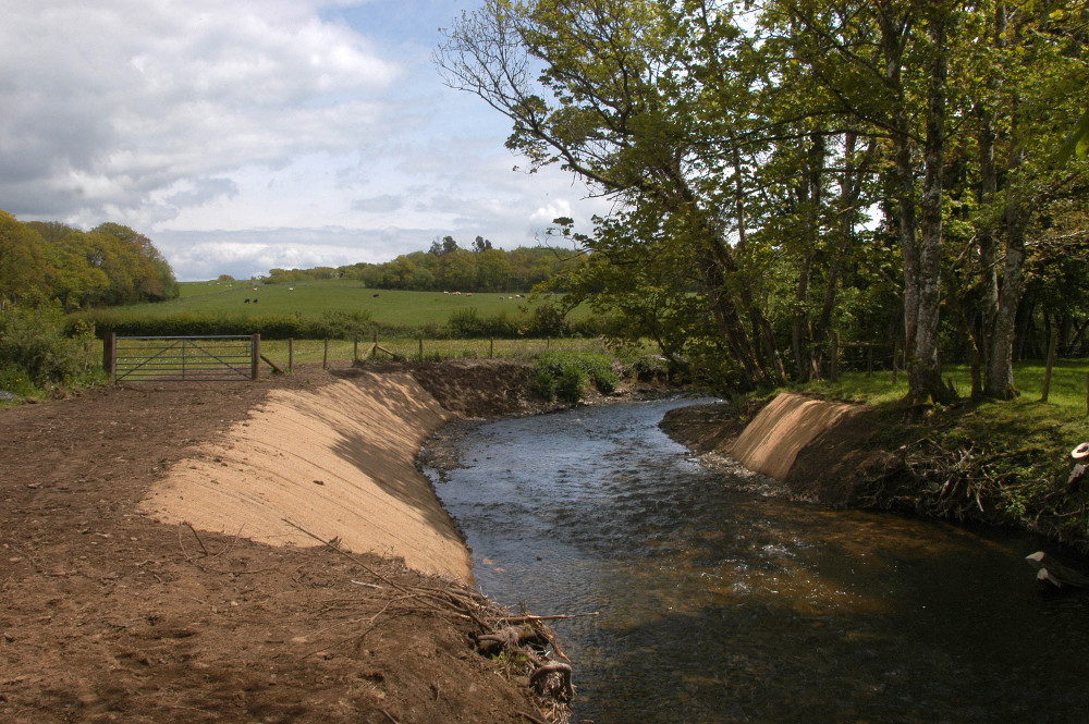 Two National Parks Now Accessible to Migratory Fish in the River Taw!