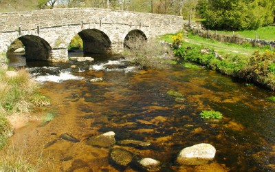 Upstream Thinking Project Wins Business Sustainability