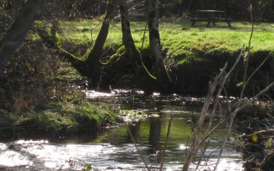 PES: Putting a price on the rivers or paying to protect them?