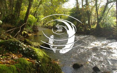 Moving forward as one…..