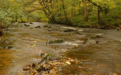 Going, Going ….? Time for Action