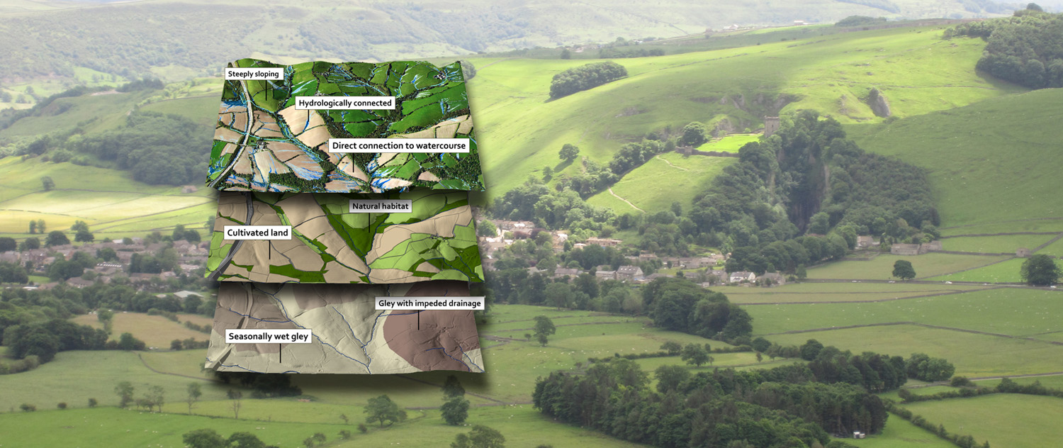 EcoSpatial GIS Training