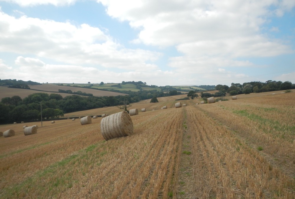 A30 Road Runoff Study