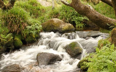 Westcountry Rivers Trust Appoints New Chief Executive