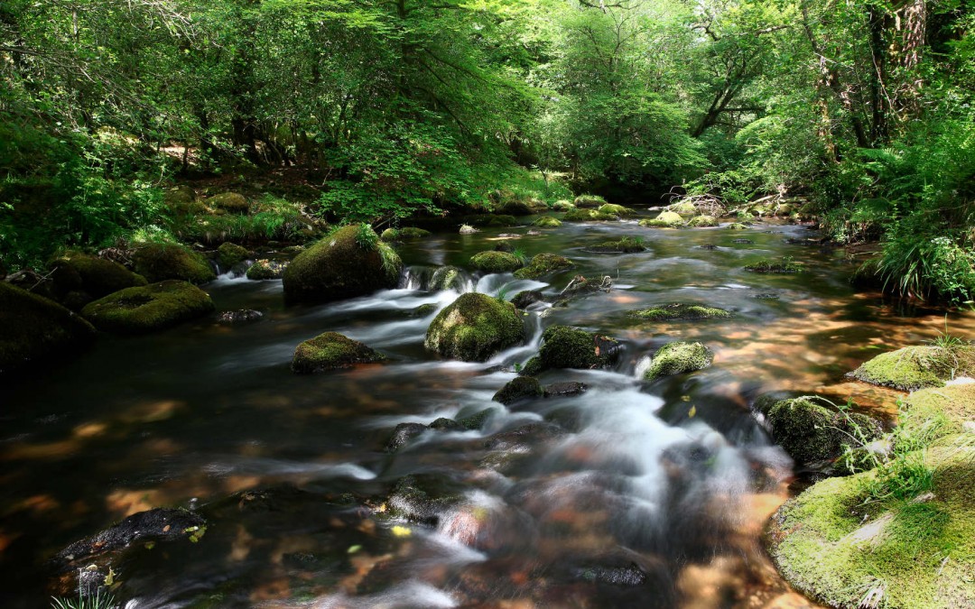 WaterLIFE