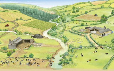 Upstream Thinking to Improve Water Quality