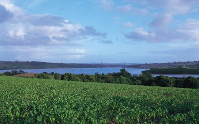 If a tree falls and no-one is there to hear it…..