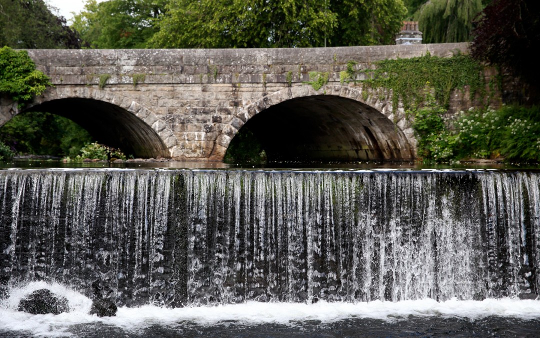 The Role of Payments for Ecosystem Services in Climate Change Adaptation