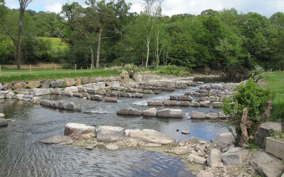 Taw Access over Weirs