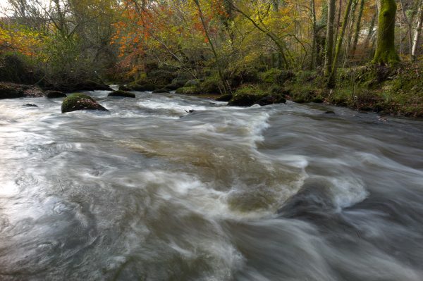 Catchment Based Approach website