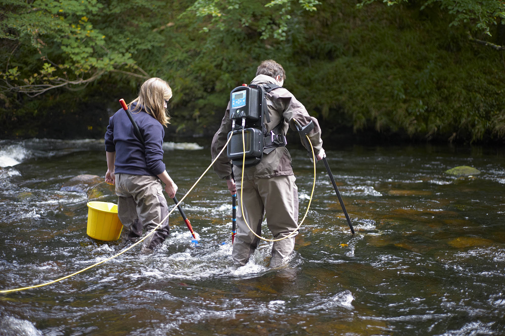 Electrofishing