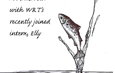 Starting life at the Westcountry Rivers Trust