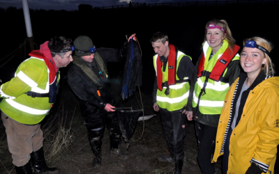 Glass Eel Citizen Science Project