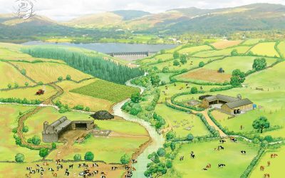 Looking 25 years ahead…