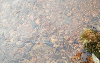 Where are the gravels?