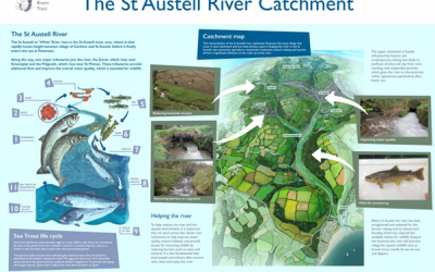 WRT Boards arrive in the St Austell and Par Catchments