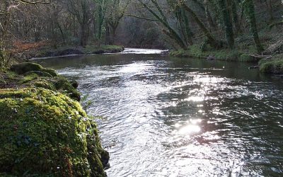 2024 Marks the 30th Anniversary of Westcountry Rivers Trust