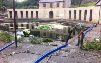 Bath Lido Fish Rescue