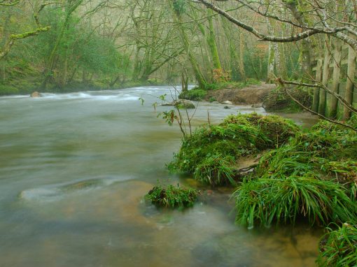 River Teign