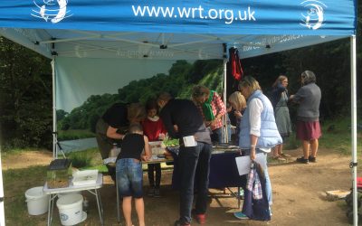 Brent Island Family Fun Day