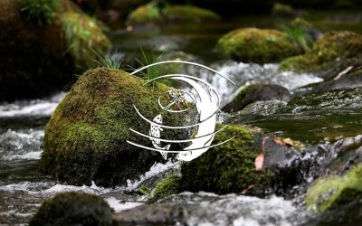 ThinkGIS: Westcountry Rivers Trust helps diverse groups achieve consensus