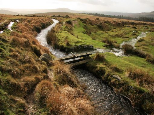 River Dart Westcountry Trust