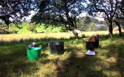 Fish Survey Results 2016