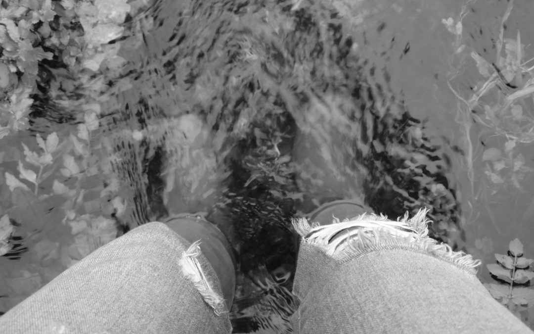 The Tone and Parrett: A Tale of Two Rivers