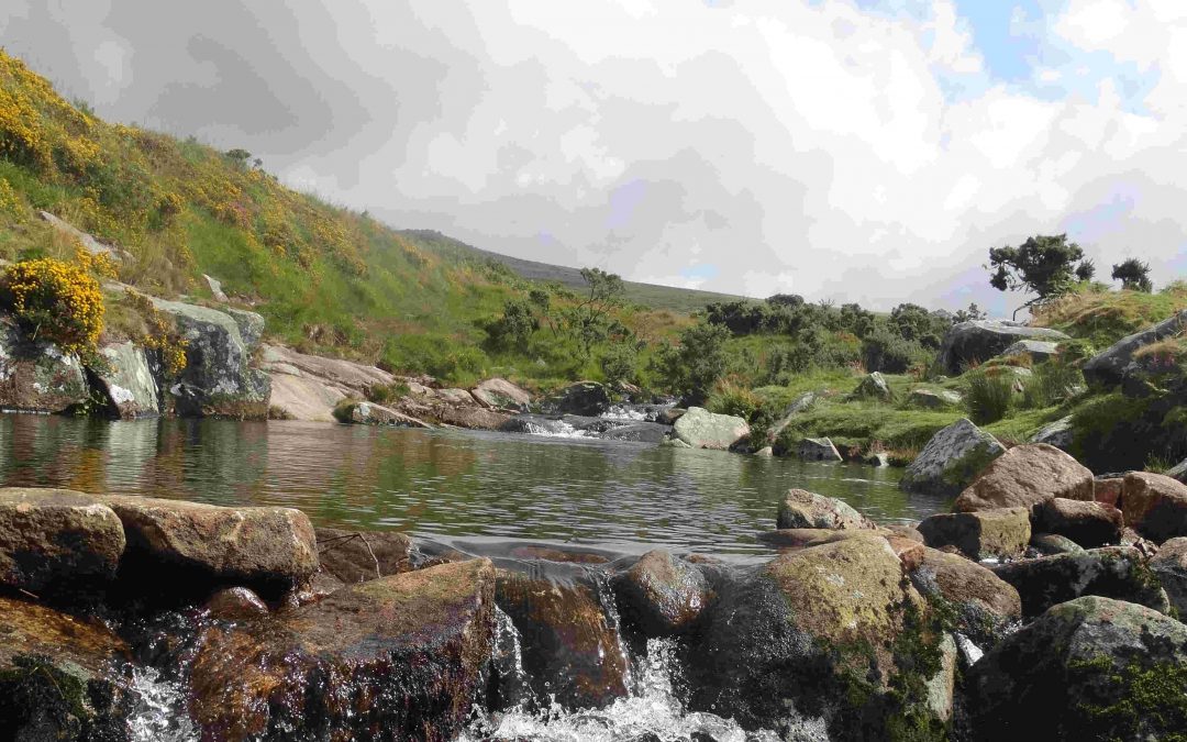 River Dart