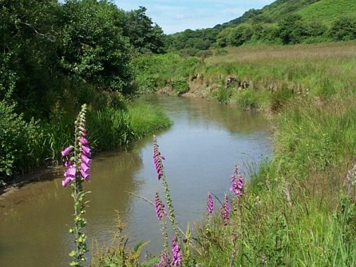 River Fal