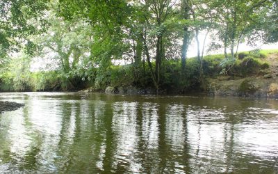 Philip Dunne MP launches new Bill to tackle river pollution