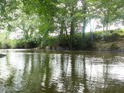 River Tamar