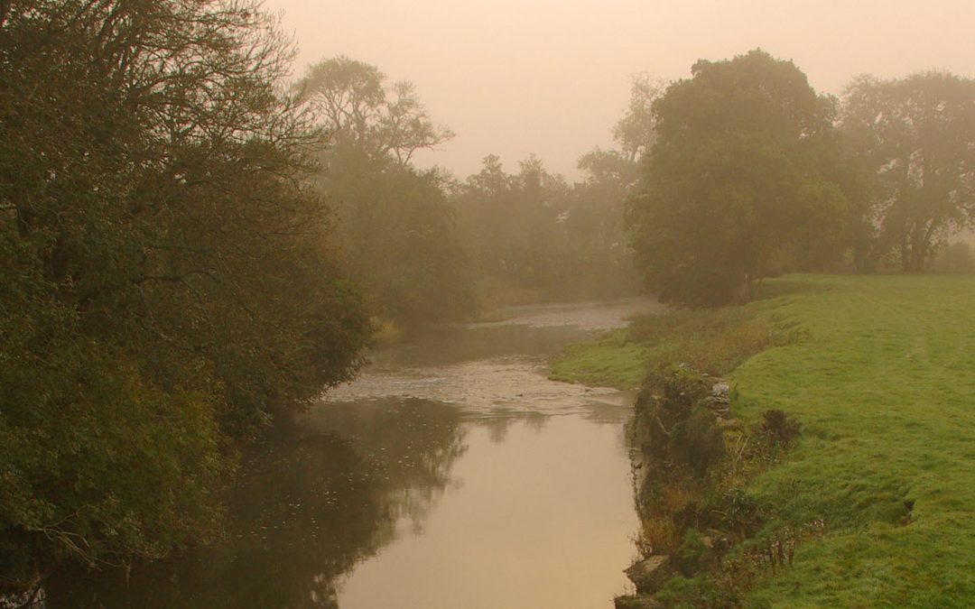 The Tamar is Walking Country