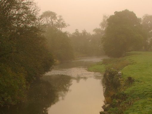 The Tamar is Walking Country