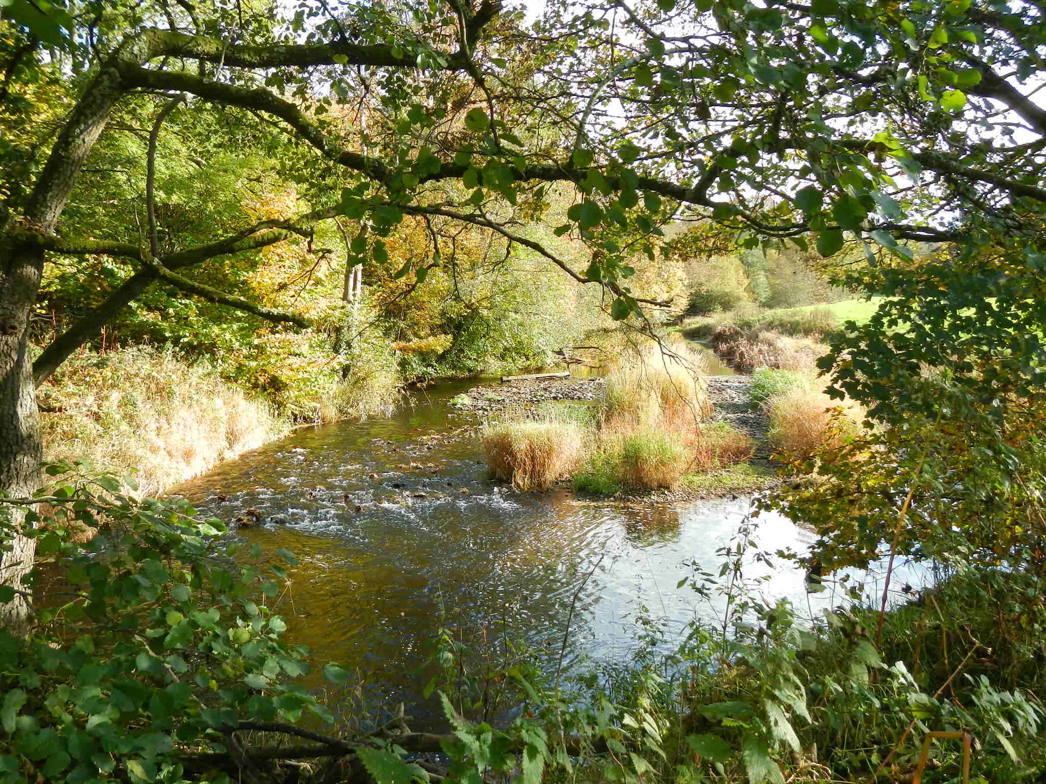 River Yealm Westcountry Rivers Trust