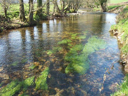 River Plym