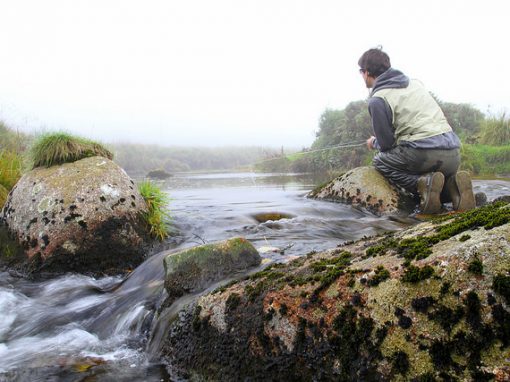 My first experience of fish & angling