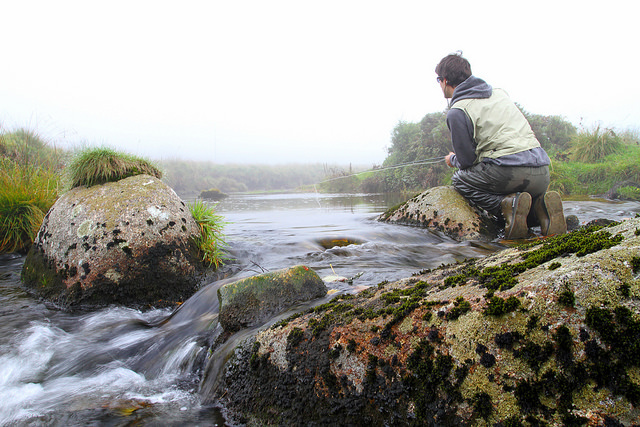 My first experience of fish & angling