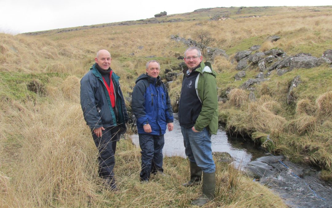 pH Balancing Trial Could Create Healthier River for Dartmoor Fish