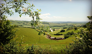 Walking the Exe: The Middle Reaches