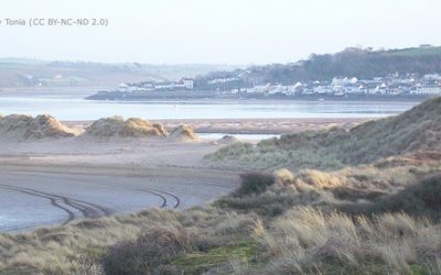 Crow Point Estuary clean up & BBQ