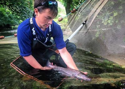 Electrofishing internship 2017 – a look back