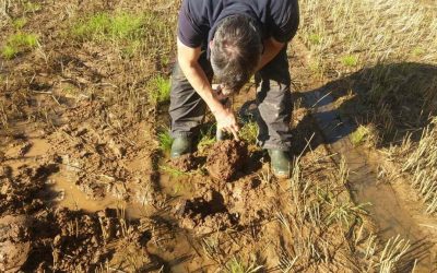 WMN Feature: Why we all need to worry about the state of the nation’s soils